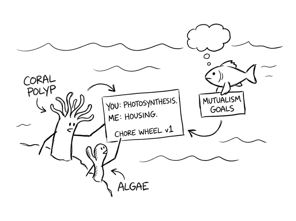 Coral and algae negotiate chores like roommates