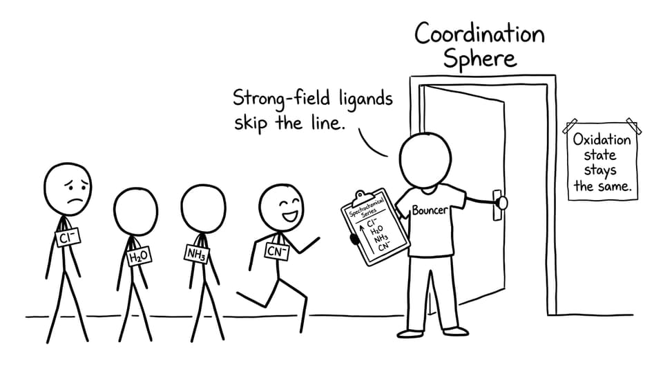 A club bouncer explains ligand strength