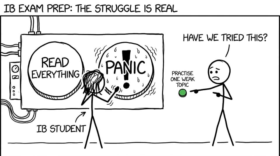 An IB student considers panic before a friend suggests practising one weak topic