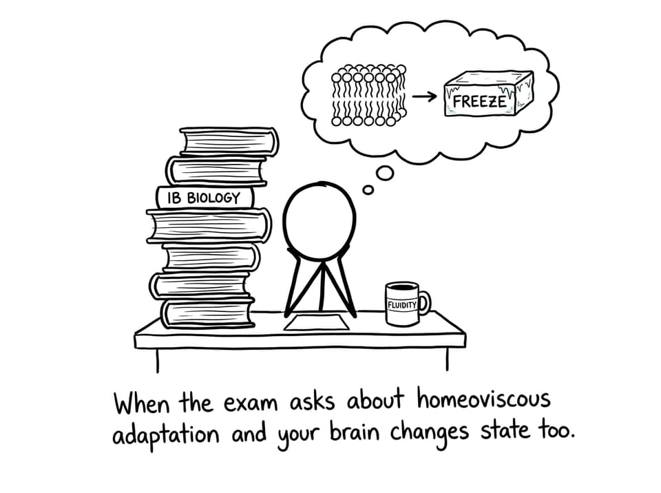 Homeoviscous adaptation brain freeze