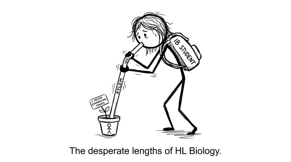 Stressed student vs xylem straw