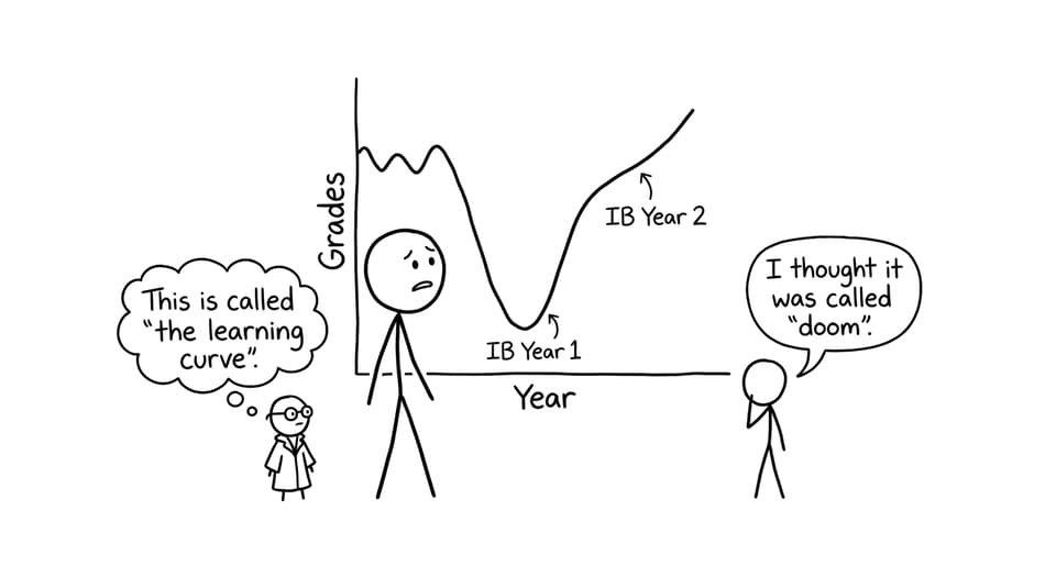 A funny learning curve dip in IB Year 1
