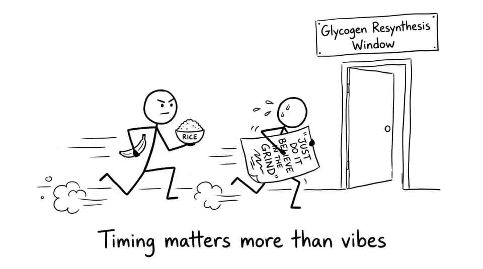 Glycogen window timing comic