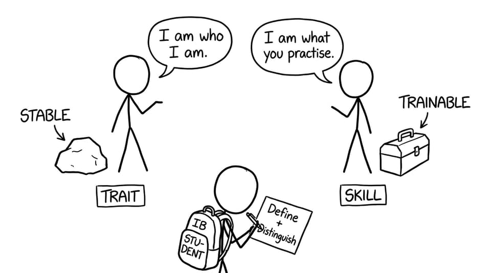 Trait vs skill: stable vs trainable