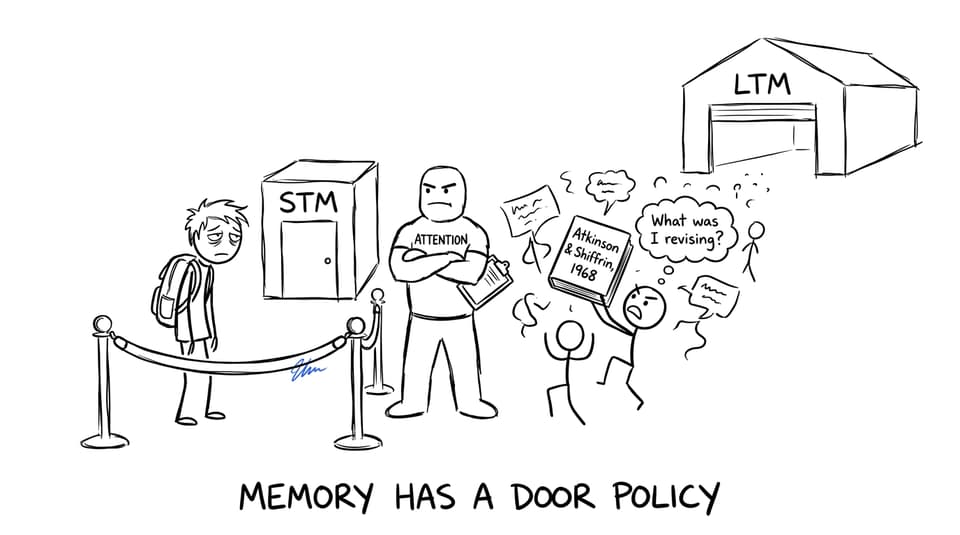 A humorous comic showing attention acting as a bouncer at the entrance to short-term memory