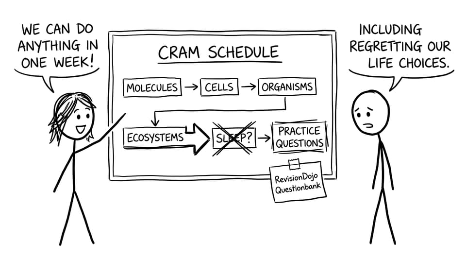 Two students making an absurd cram flowchart