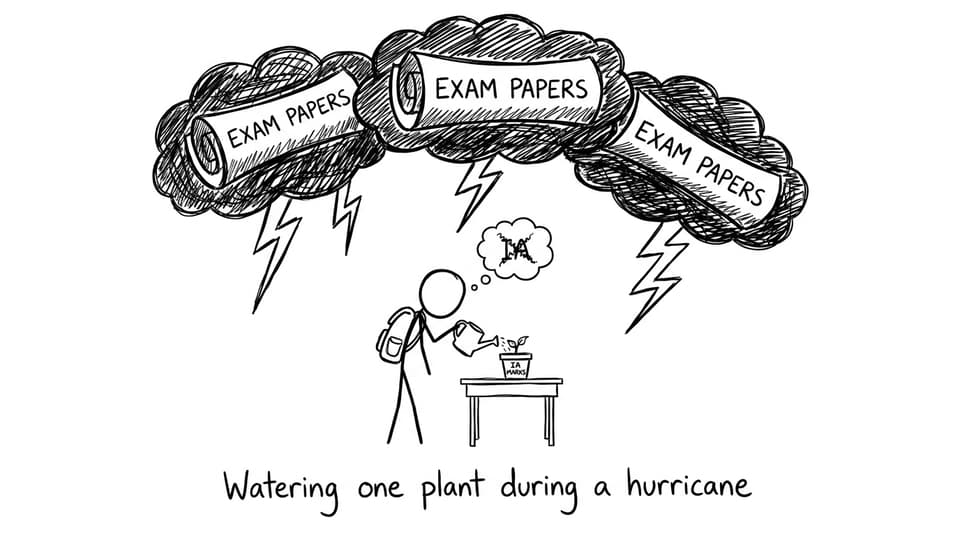 Watering one plant during a hurricane