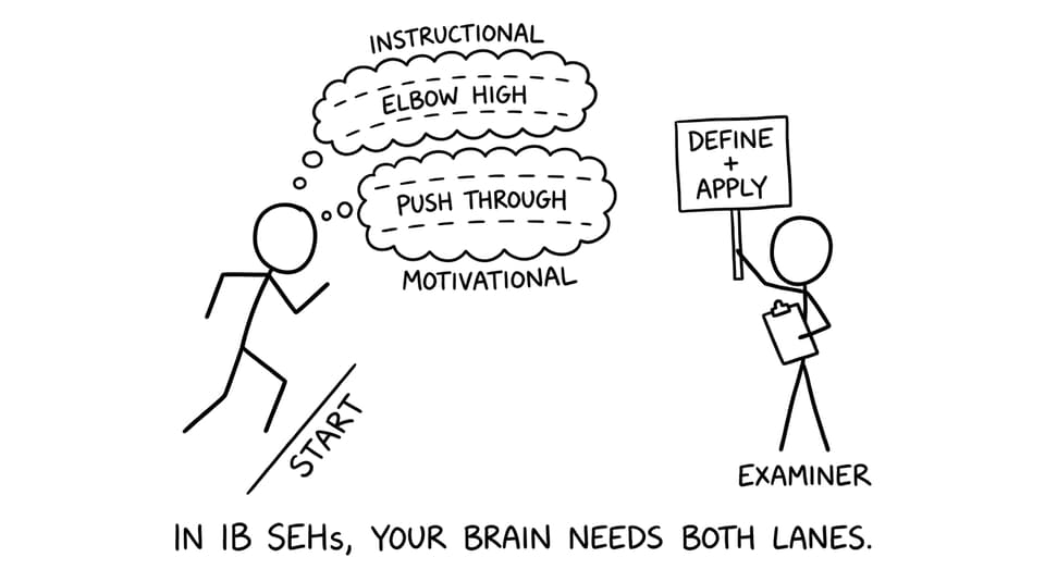 In IB SEHS, your brain needs both lanes.