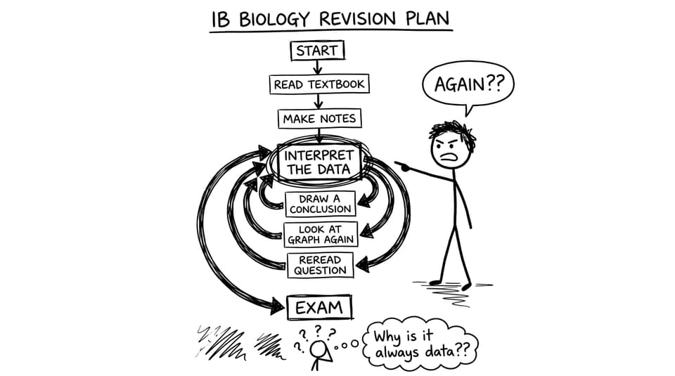 Revision plan loops back to data again