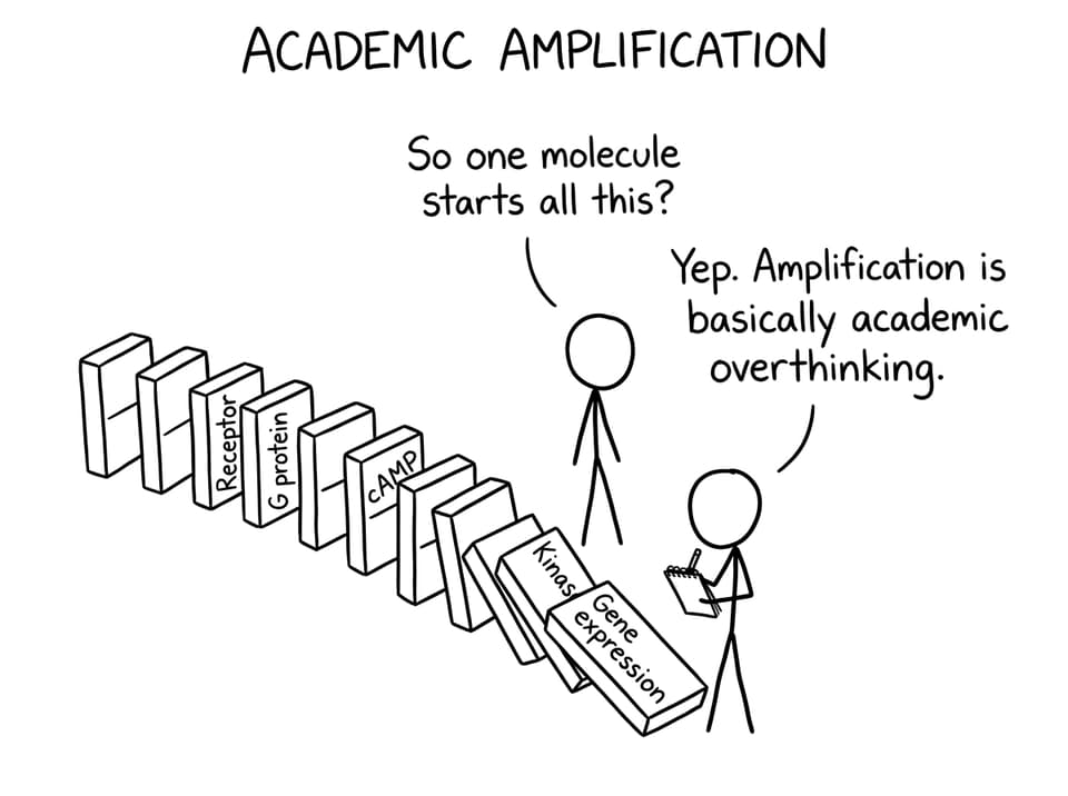 Domino amplification joke
