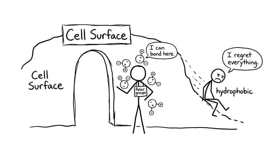XKCD comic of cell surface as a club door