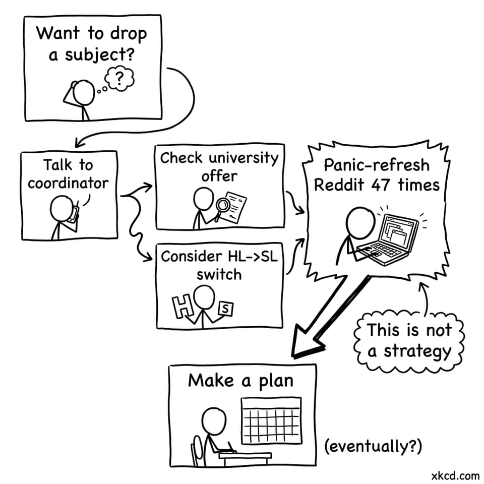 A silly decision flowchart for subject dropping