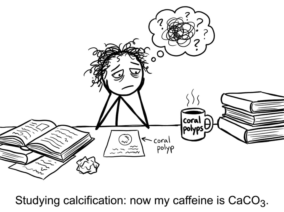 IB student tries to carbonate their coffee
