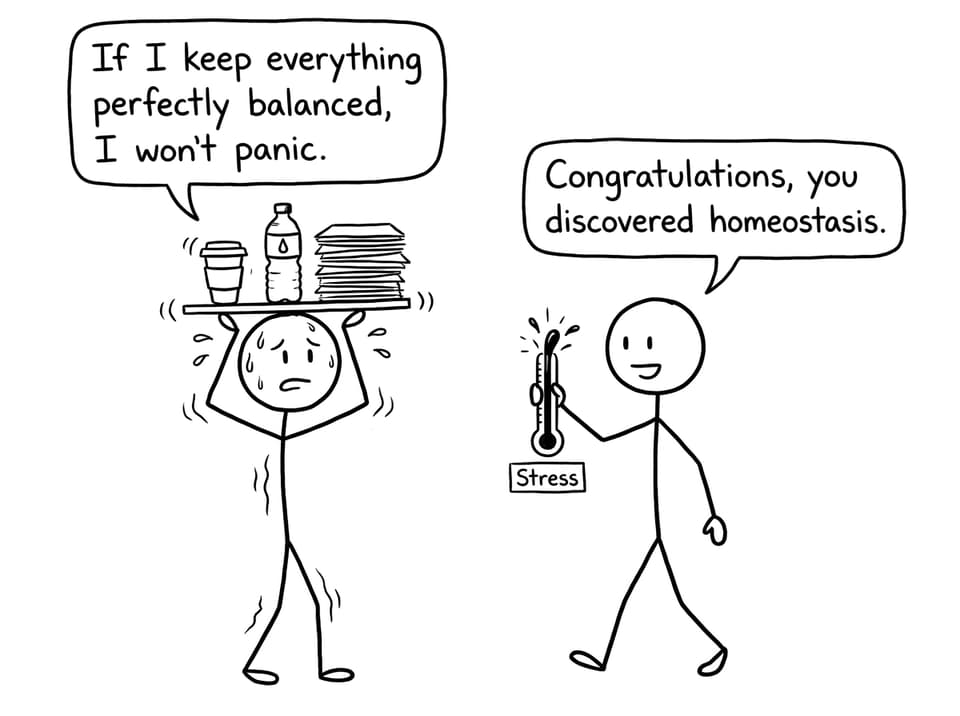 An IB student balancing revision and stress like “homeostasis”