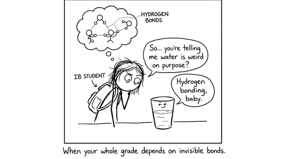 IB student vs invisible bonds