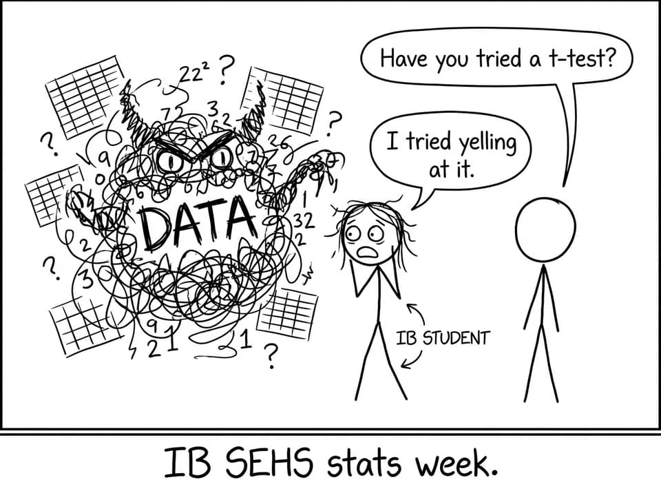 IB SEHS stats week comic