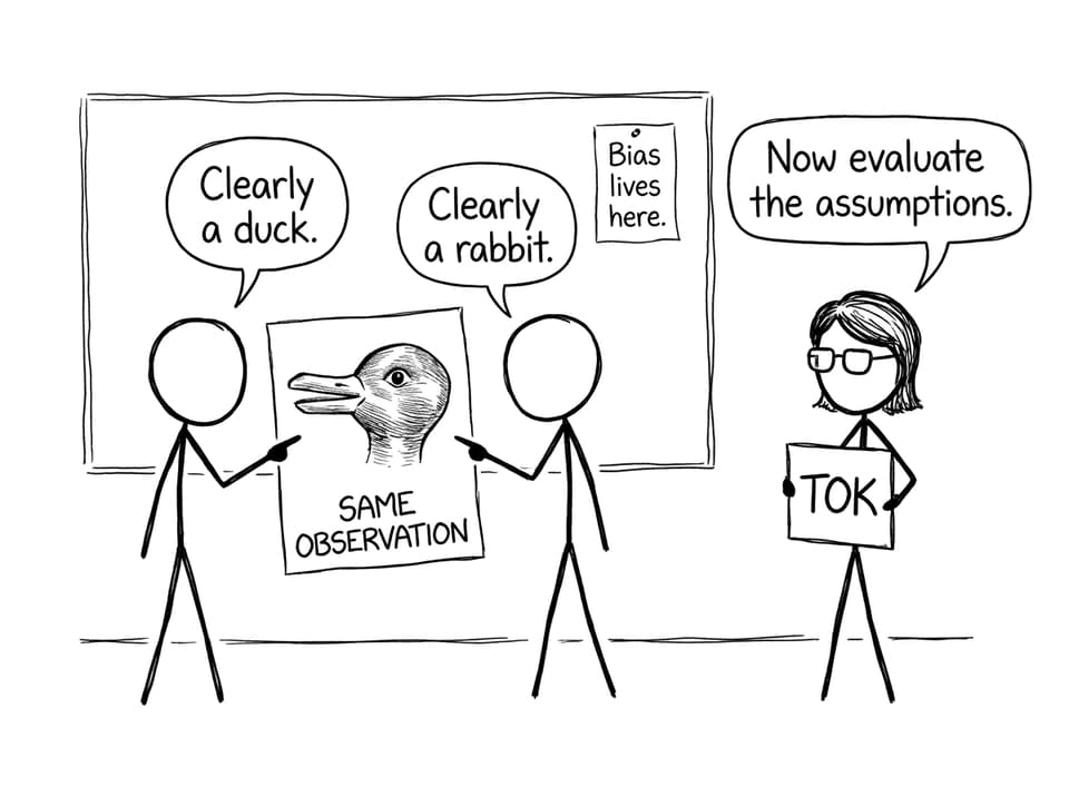 Duck-rabbit TOK comic