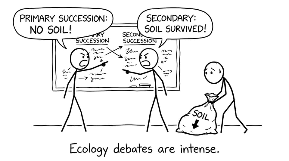 Stick figures debating primary vs secondary succession
