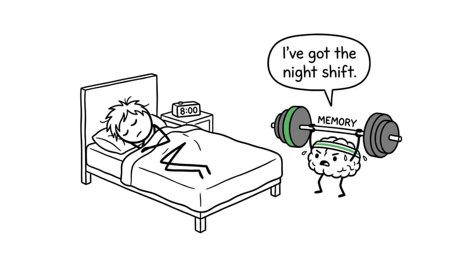 A sleeping student's brain works the night shift