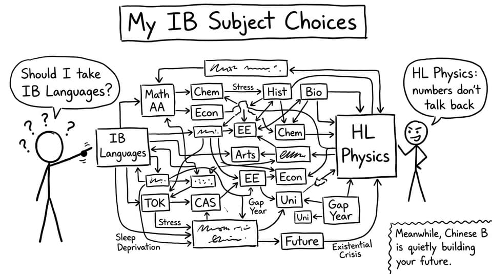 Comic: IB subject choice flowchart