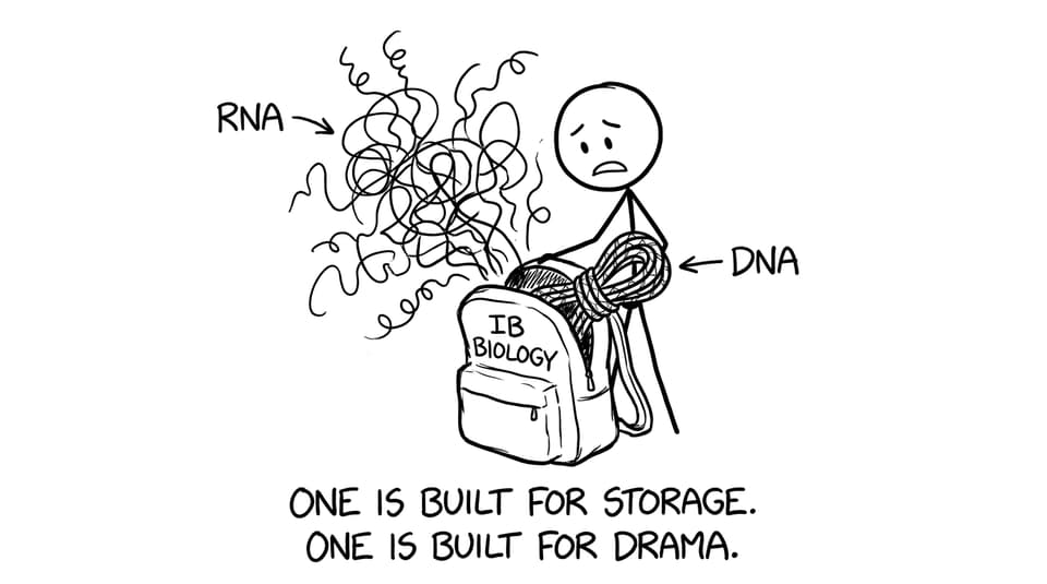 IB Biology backpack: RNA drama vs DNA storage