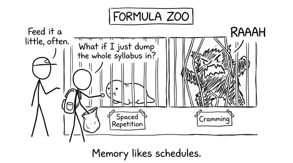 Formula zoo: spaced repetition vs cramming