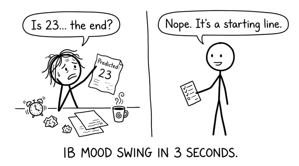 Stressed IB student meets calm future-self