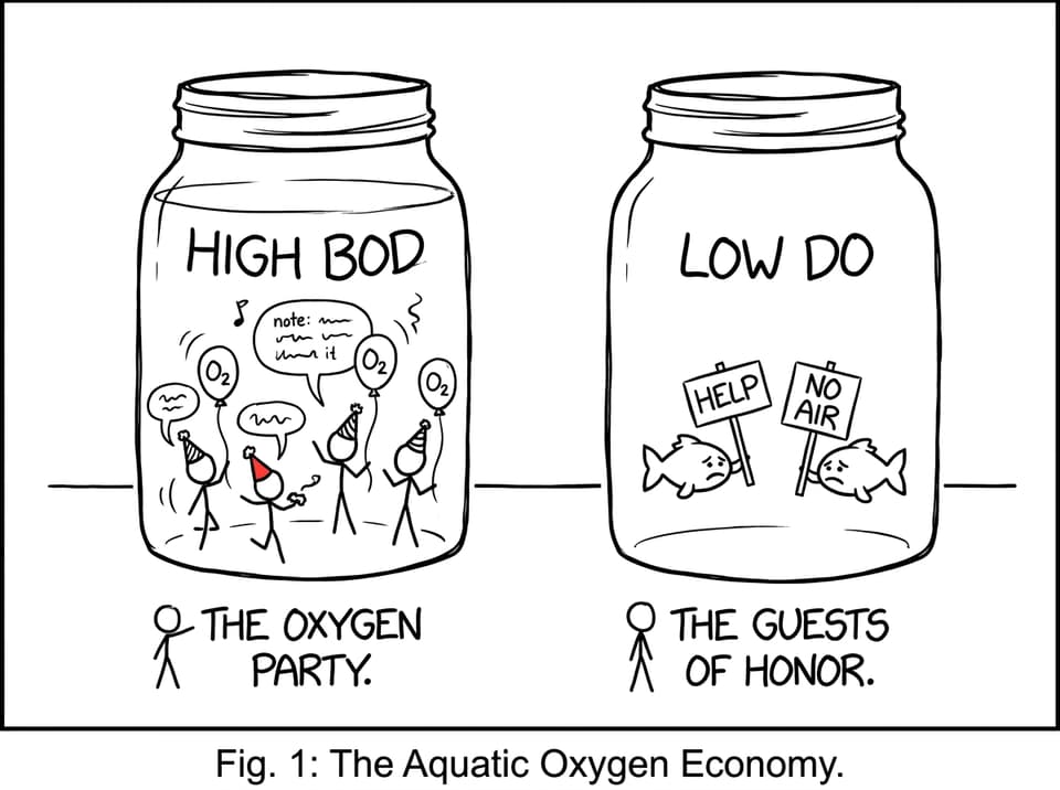 BOD party vs low oxygen reality
