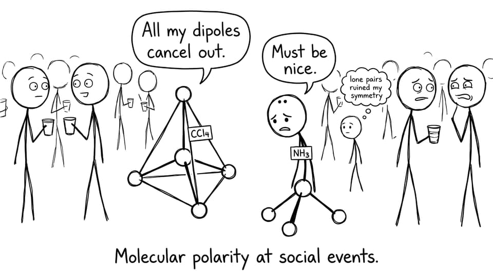 Molecular polarity at social events.