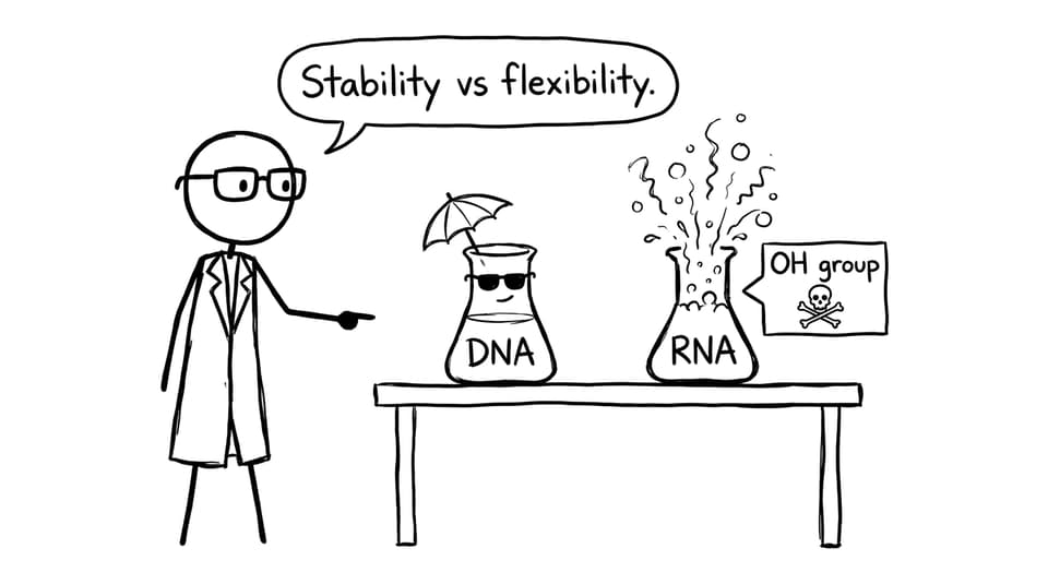 DNA chill vs RNA reactive OH group