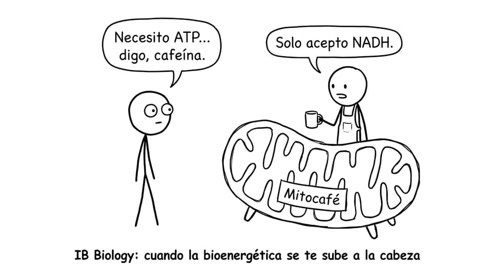 Comic: mitocafé y NADH