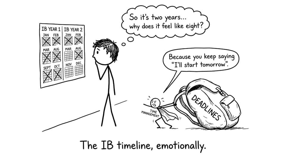 A funny IB timeline comic