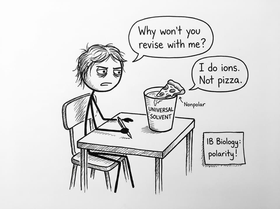 An IB student tries to dissolve pizza in water