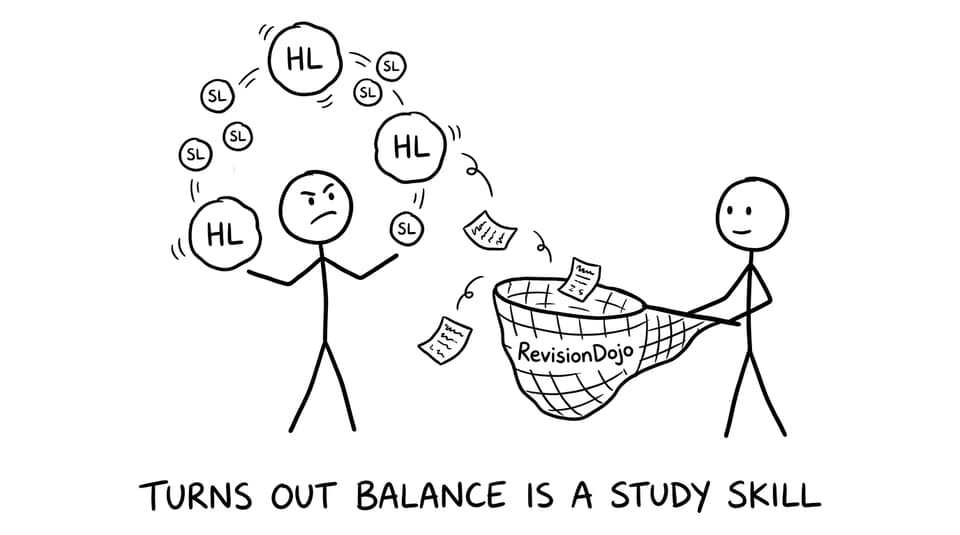 Student juggling HL and SL balls while a “RevisionDojo” net catches flying notes