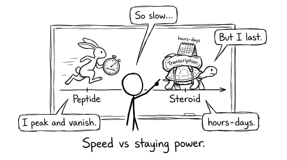 Speed vs staying power.
