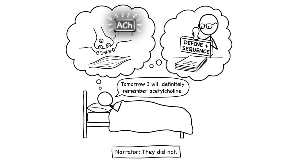 The night-before acetylcholine promise