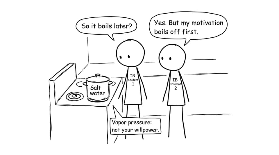Two IB students staring at salt water on a stove