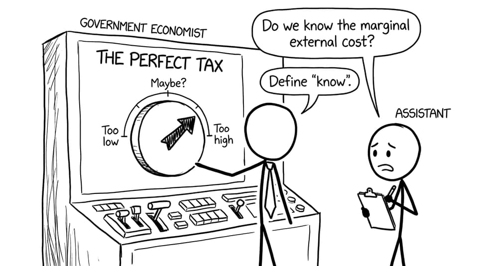 An economist searches for the perfect Pigouvian tax