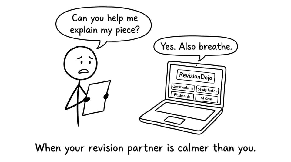 When your revision partner is calmer than you