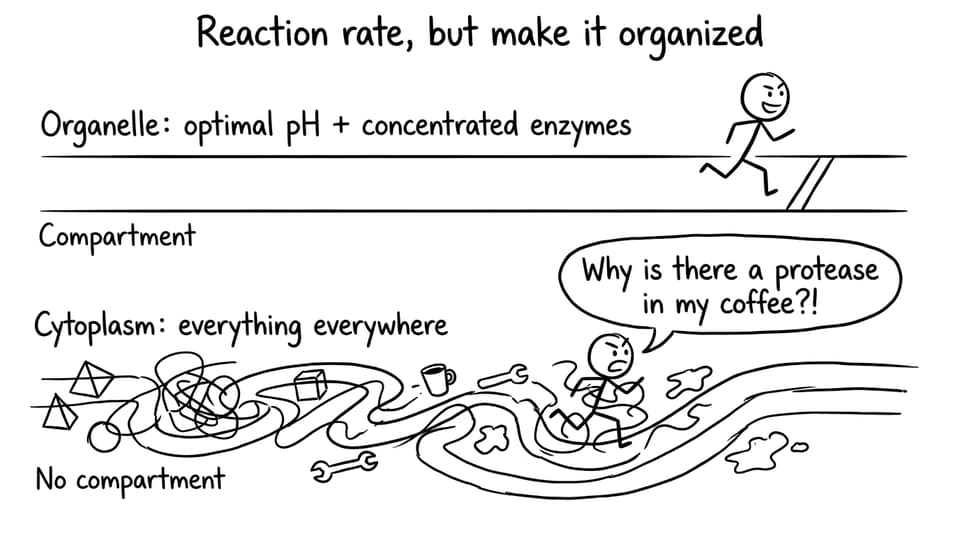 Reaction rate, but make it organized