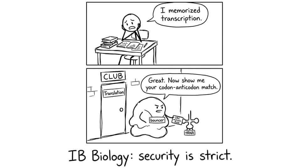 IB Biology bouncer ribosome comic