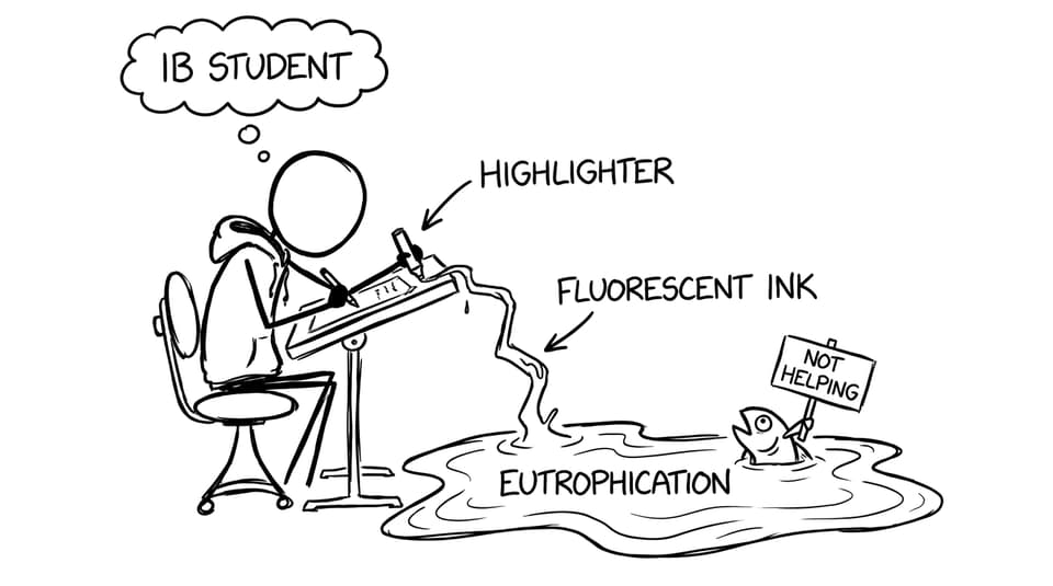A stressed student accidentally “eutrophies” the lake with their highlighter