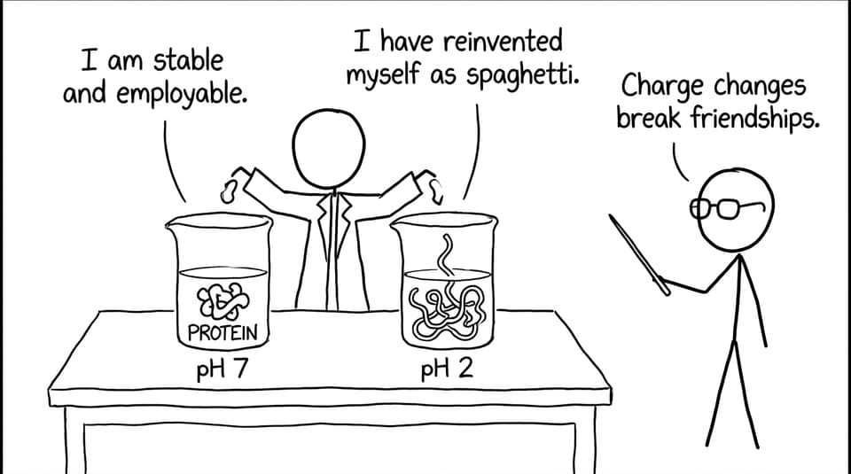 Protein in pH 2 becomes spaghetti