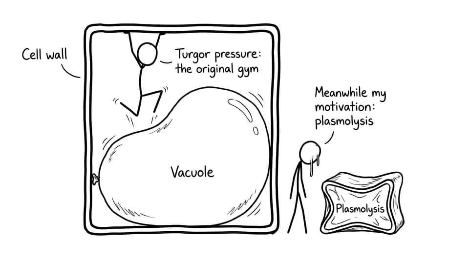 Plant cell turgor joke comic