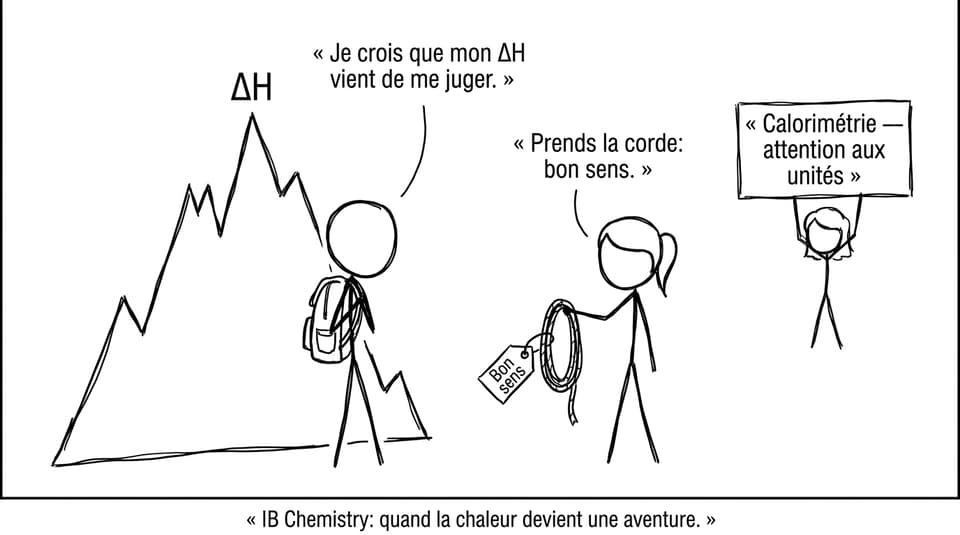 IB Chemistry: quand la chaleur devient une aventure
