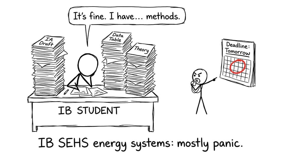 IB SEHS panic energy systems comic