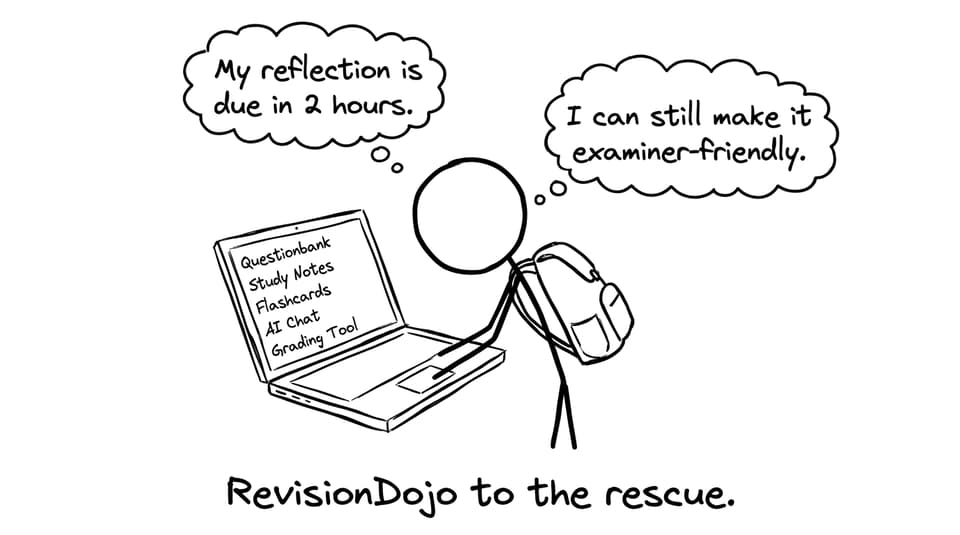 Student uses RevisionDojo tabs in panic