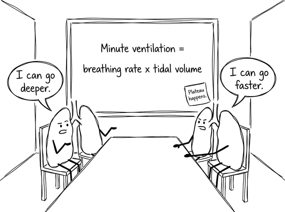Minute ventilation formula comic