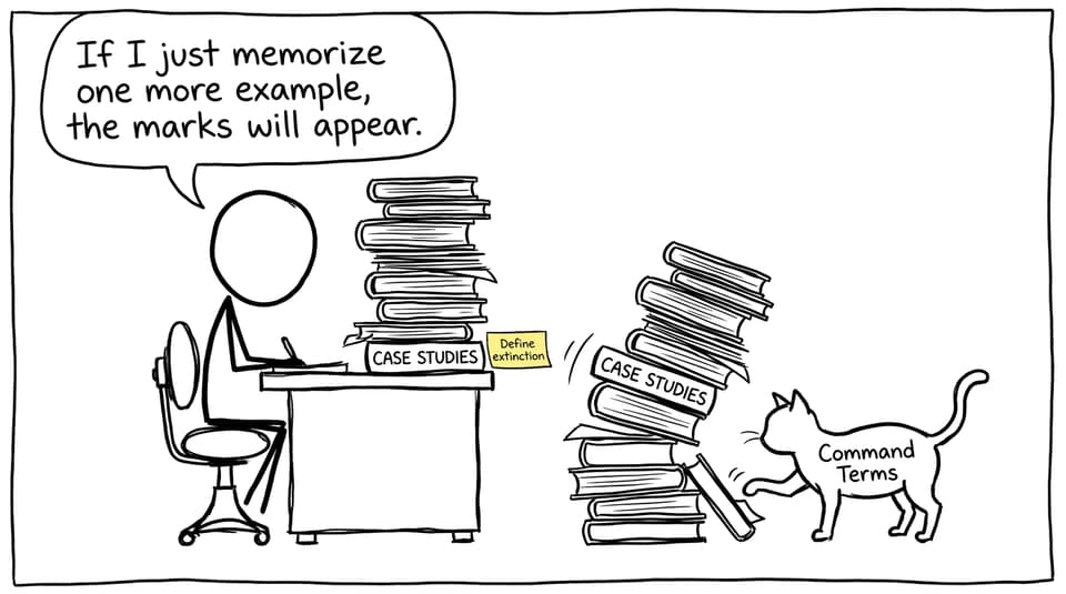 IB ESS student with case studies stack and command terms cat