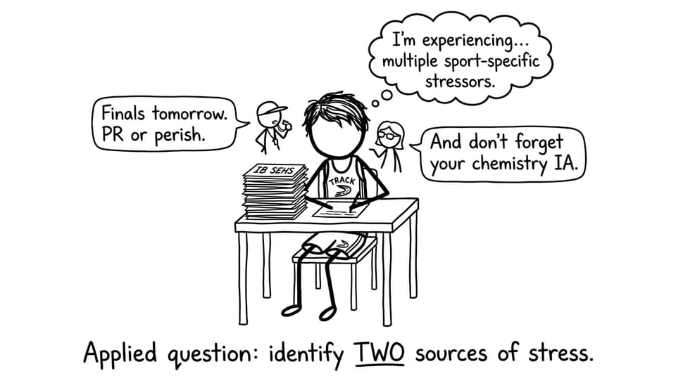 IB student athlete juggling stressors